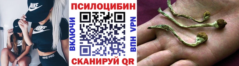 ссылка на мегу зеркало  Можайск  Псилоцибиновые грибы Psilocybine cubensis 